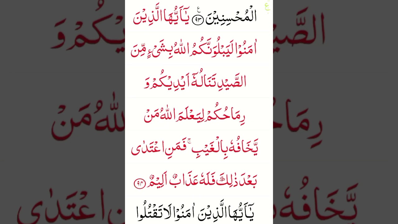 Quran G 7