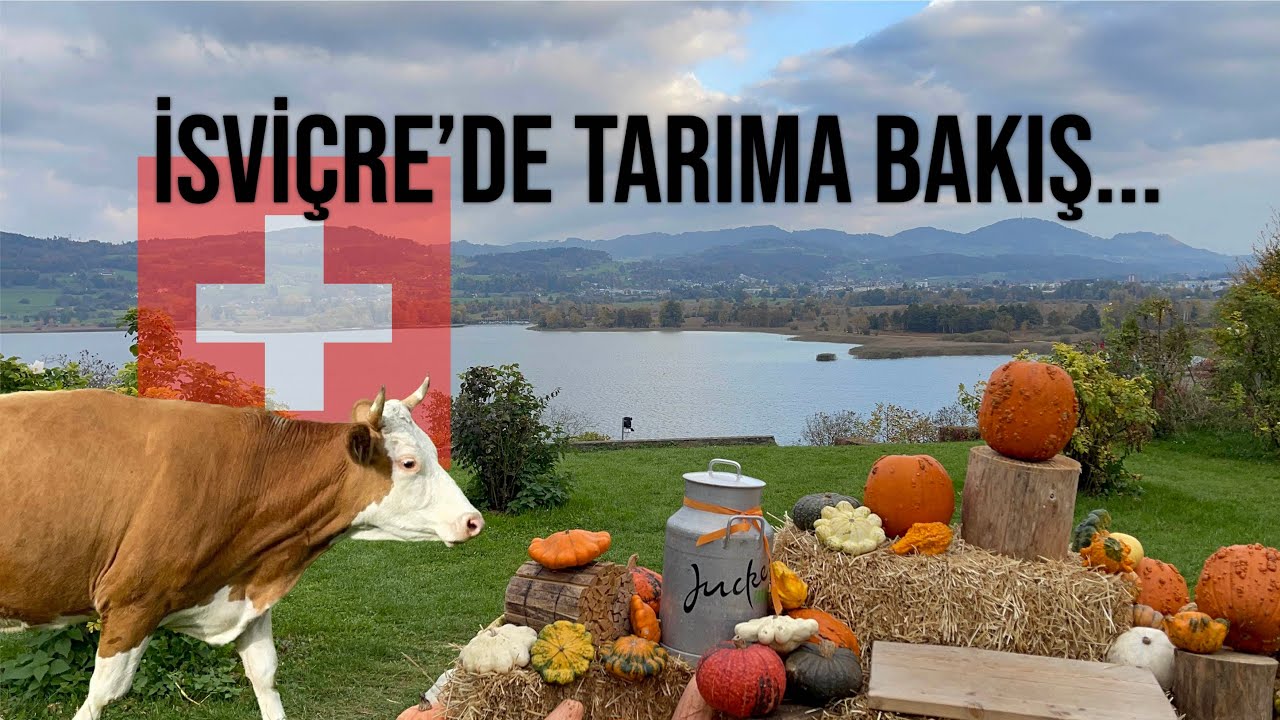 İsviçre’de tarıma bakış 