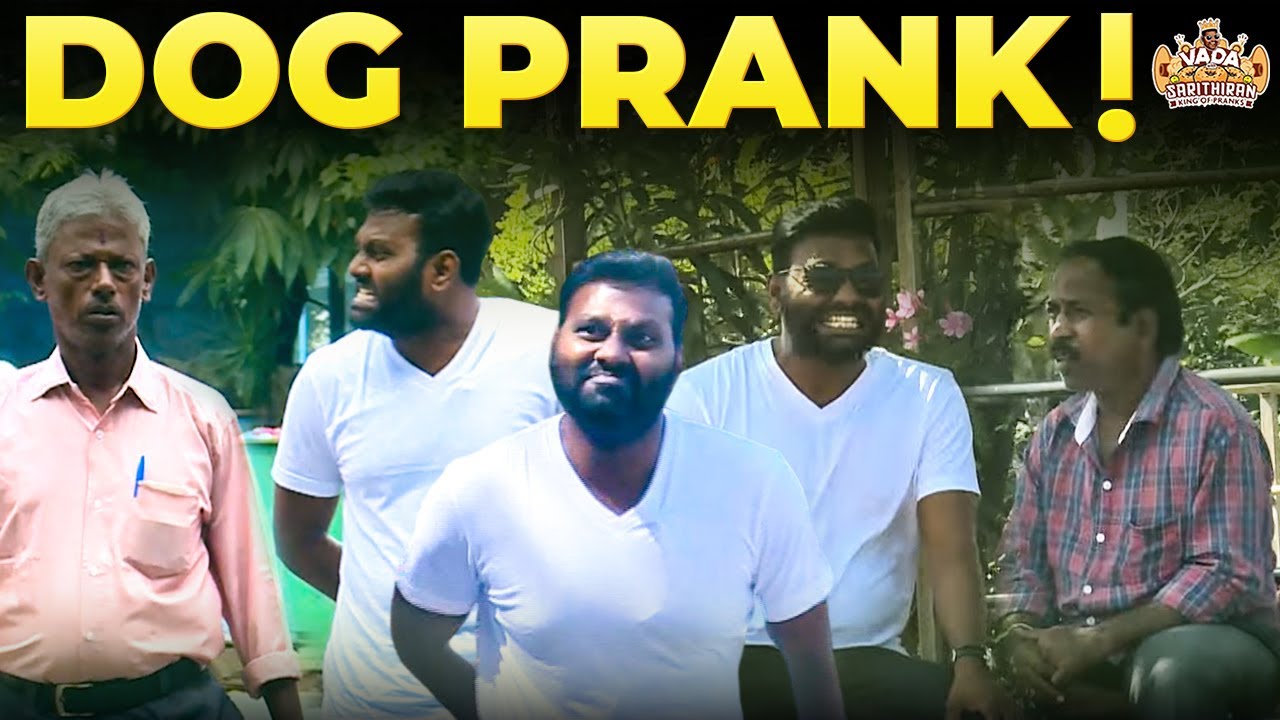 நாய் பிராங்க்! Dog Prank! | Vada With Sarithiran | Prank Video | Road Prank | Public Prank