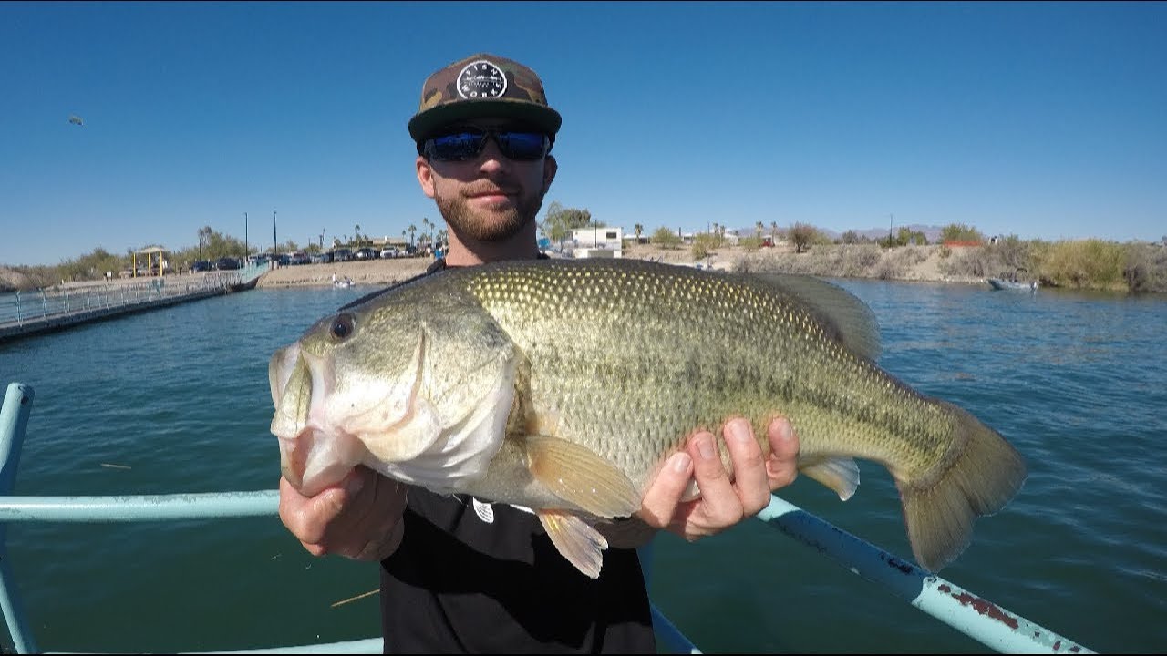 I caught 2 giants on my birthday!(Lake Havasu)