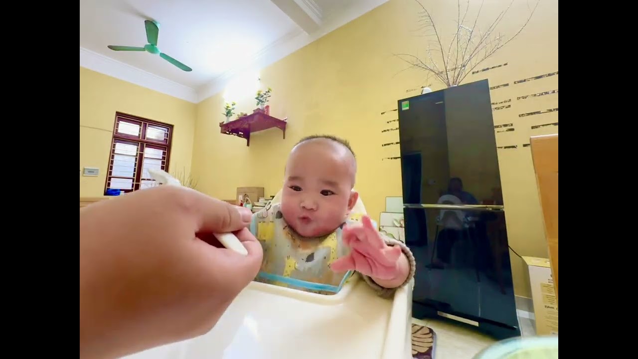 Ăn dặm cùng em Moca