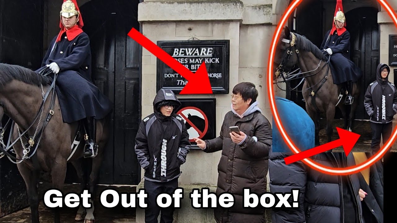 She pushed the young boy inside the box then got told off by the King's Guard!