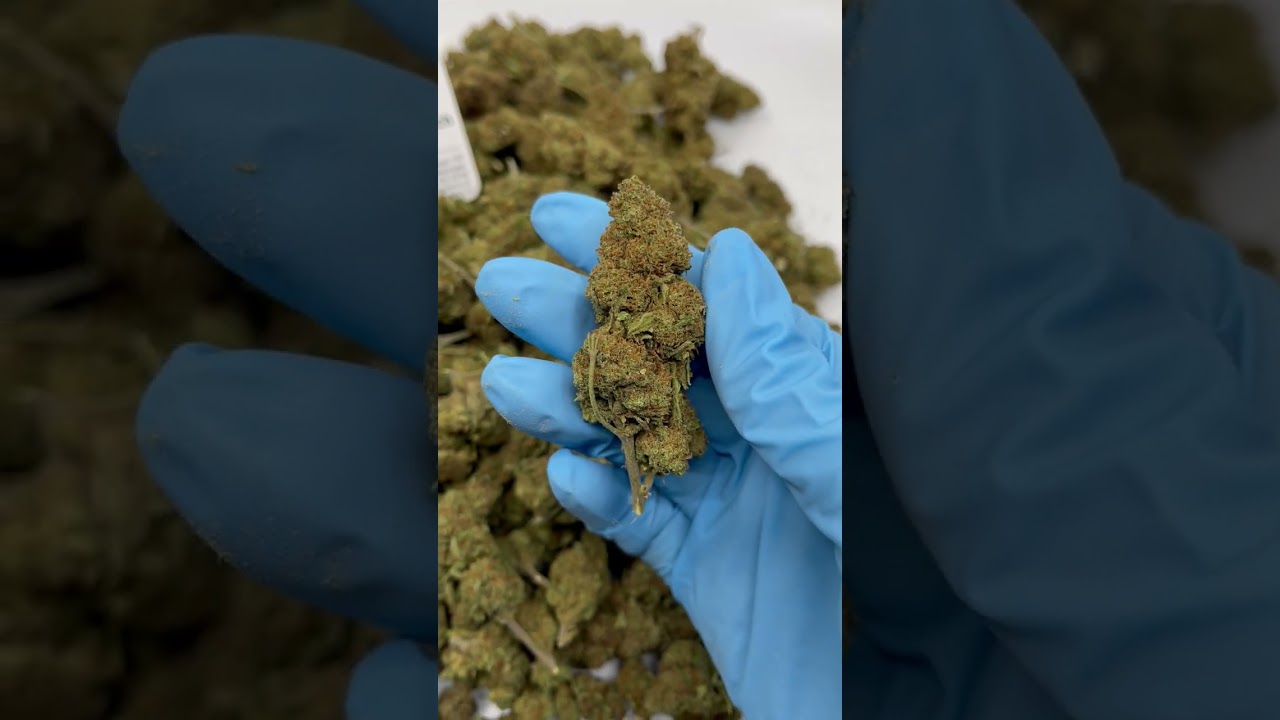 Original Strawberry CBD