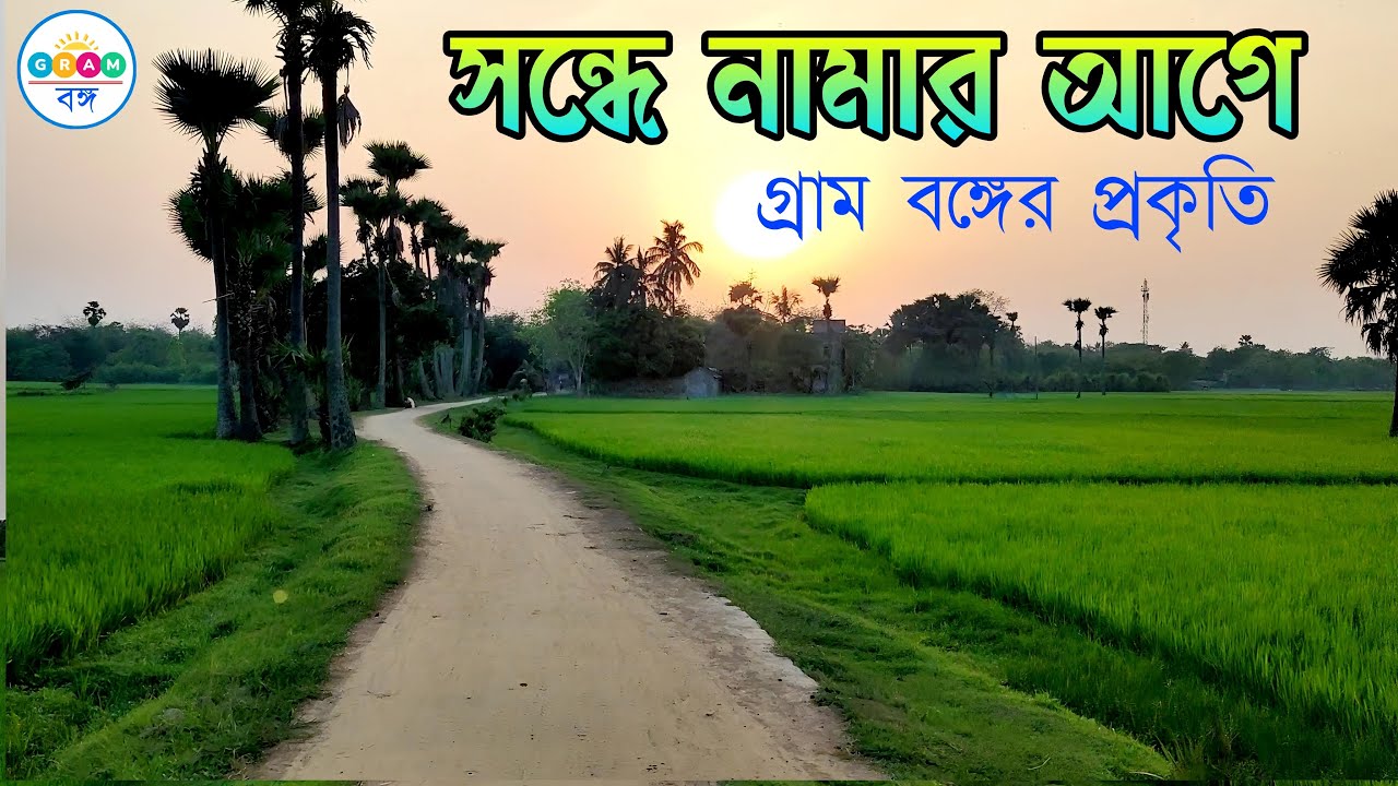 সন্ধে নামার আগে গ্রামের প্রকৃতি | Cinematic Nature Video | Gram Bongo