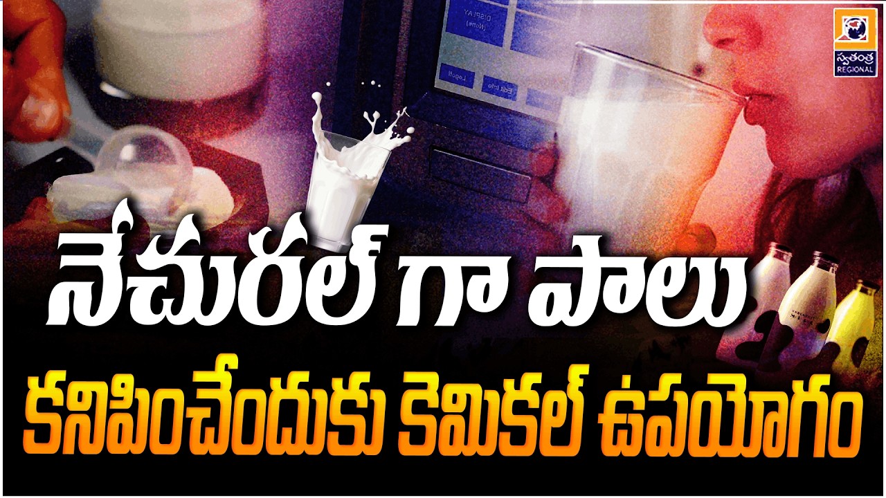 నేచురల్ గా పాలు కనిపించేందుకు కెమికల్ ఉపయోగం | Adulterated milk Scame | SwatantraTV