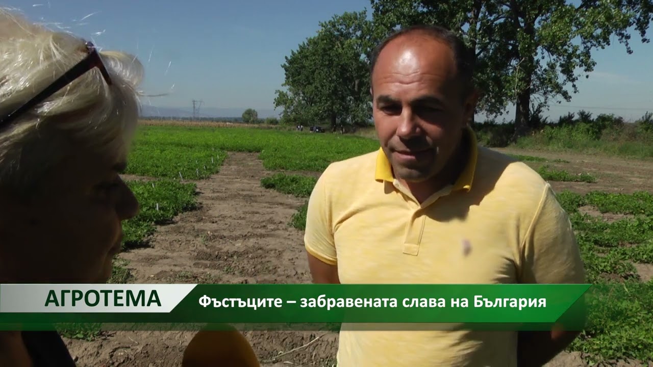 Агротема: Фъстъците – забравената слава на България, автор: Анета Божидарова