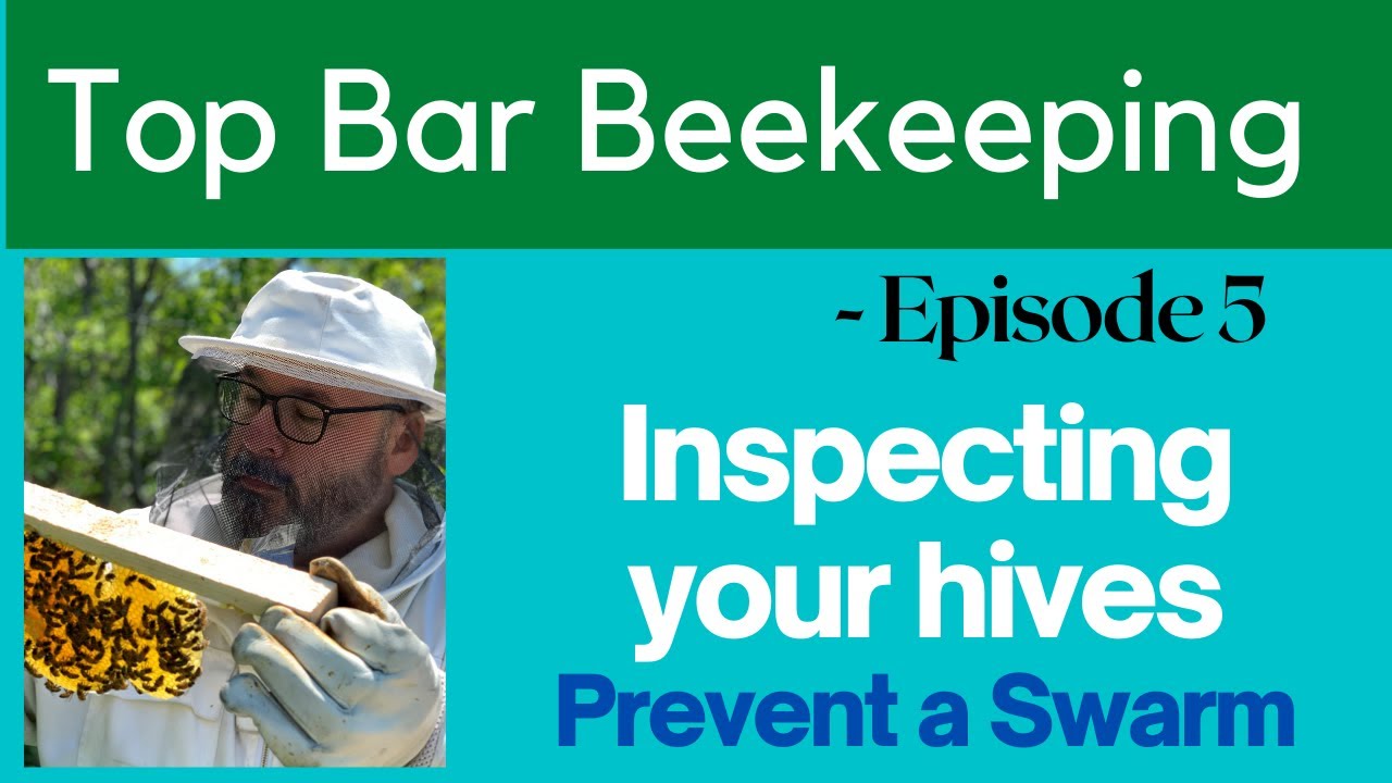 How to inspect a Top Bar Hive to prevent swarming