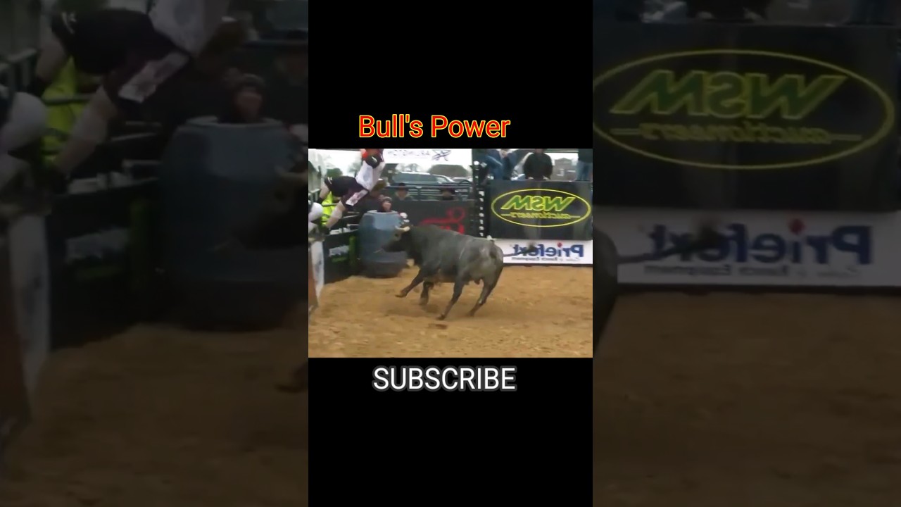 Bull Riding| Bull's Power #bullriding #bullracing #rodeo #rodeosport #bullrider #bulls #bullpower