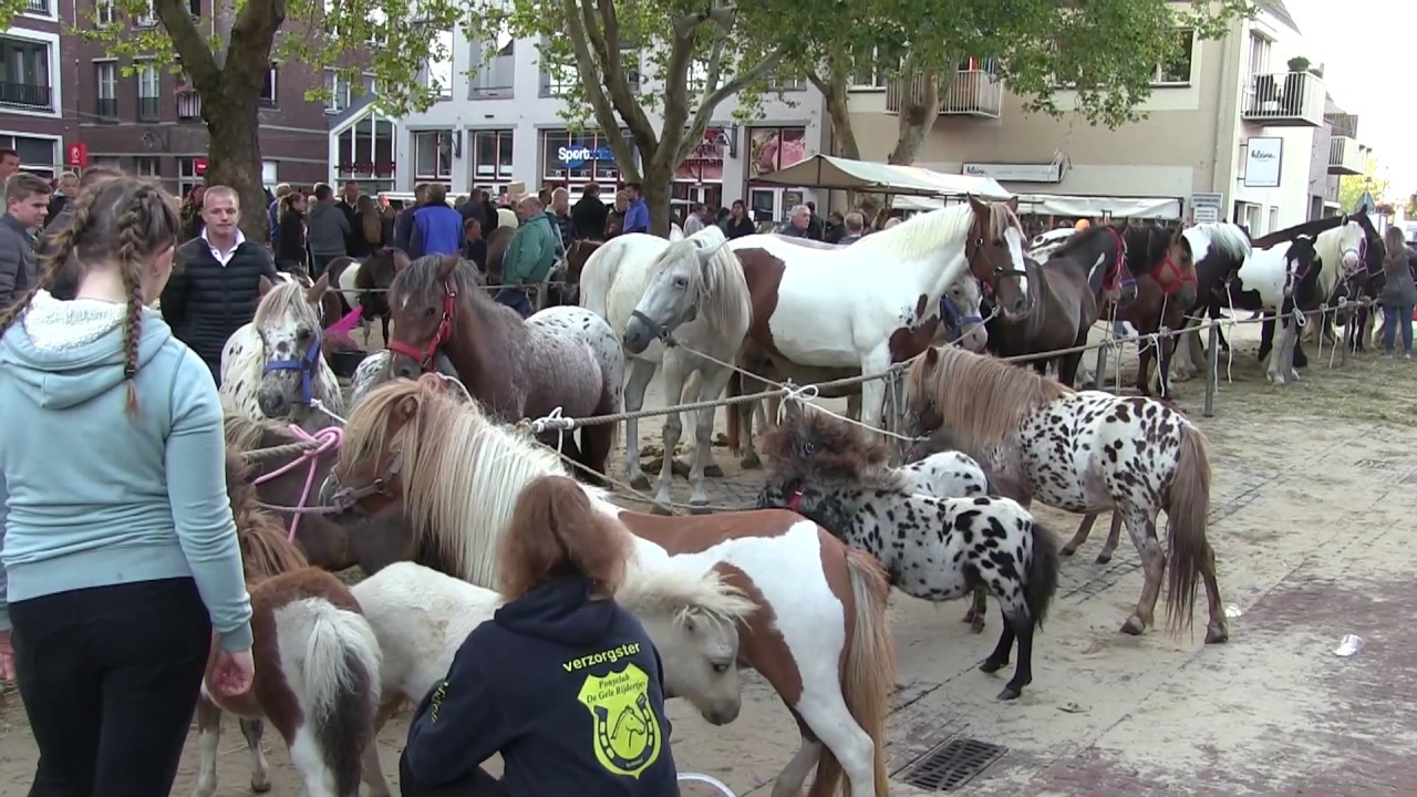 Ponymarkt Bemmel 2019