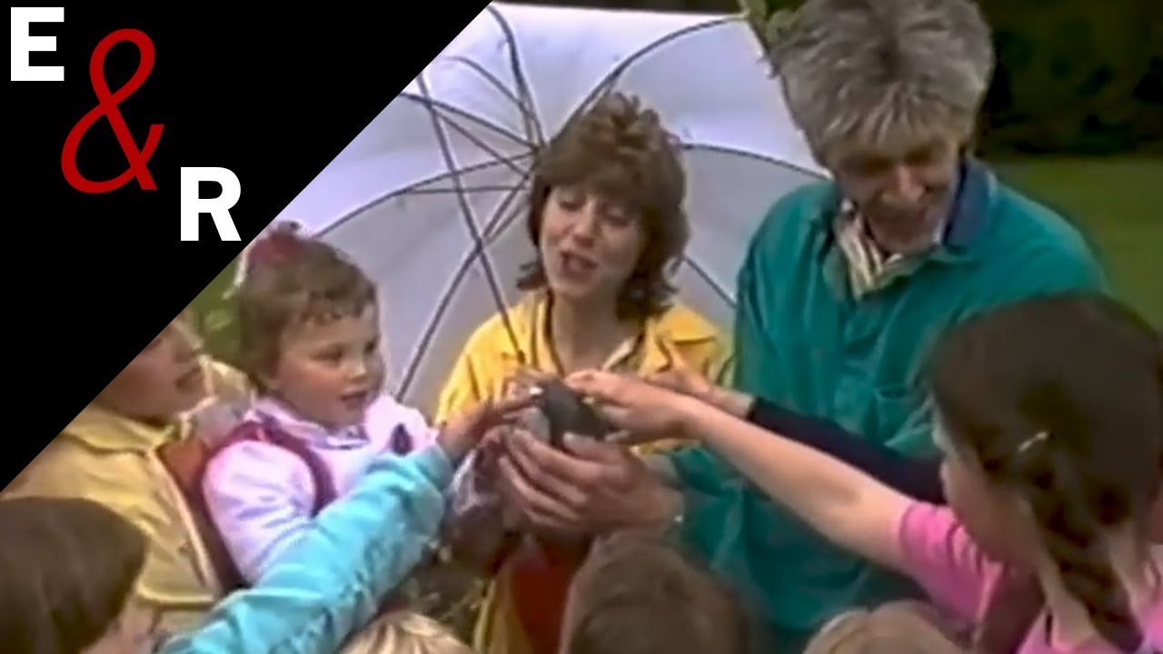 Kijk eens naar de vogels - Kauwgomballenboom • Elly & Rikkert