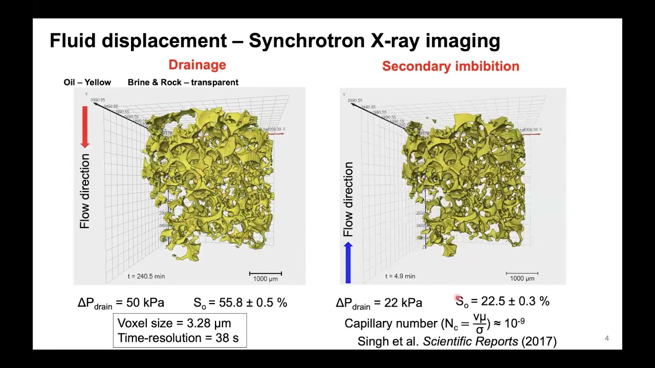 Imaging of flow in porous materials: from rocks to termite nests