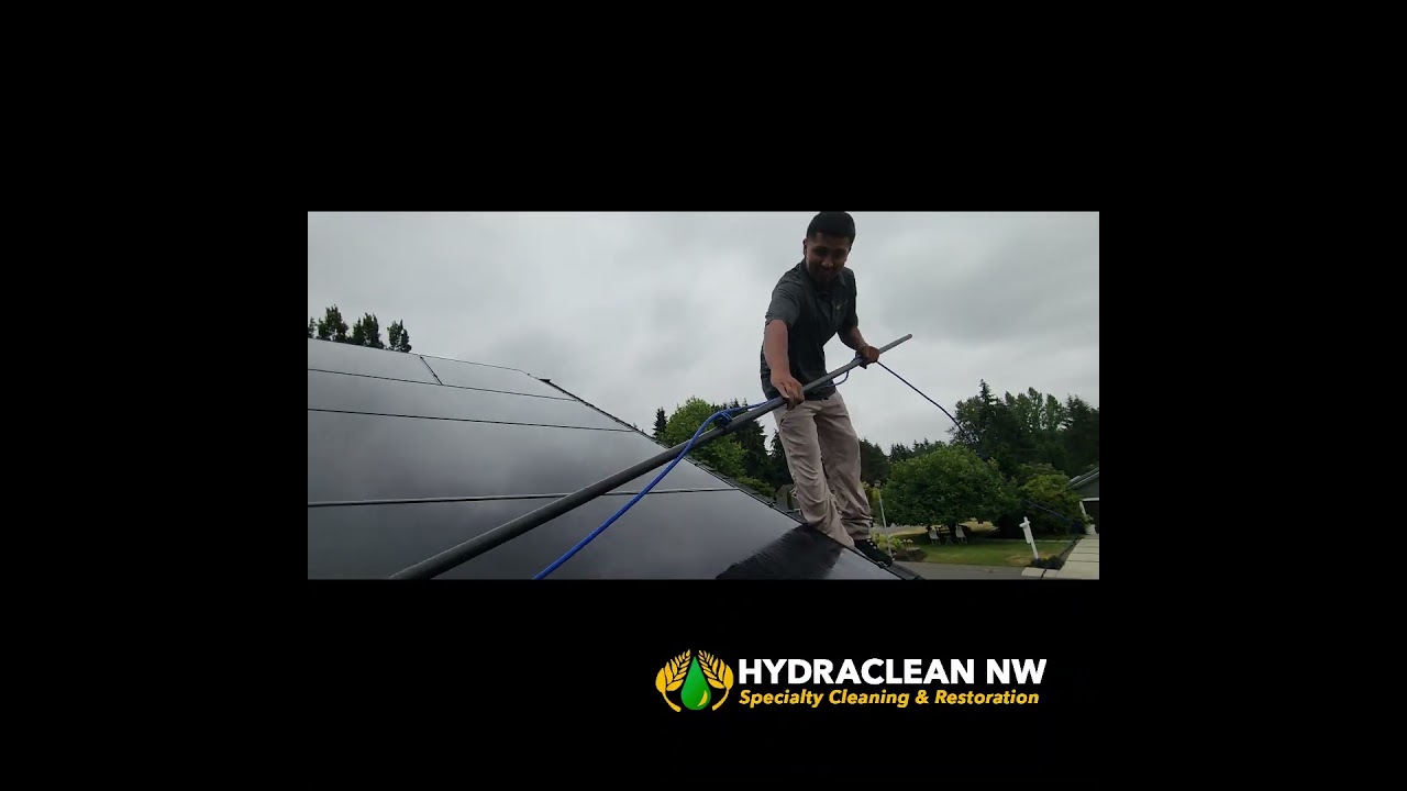 Roof and Gutter Cleaning Bellevue #bellevuehomes #bothellrealestate #guttercleaning #bothellrealtor