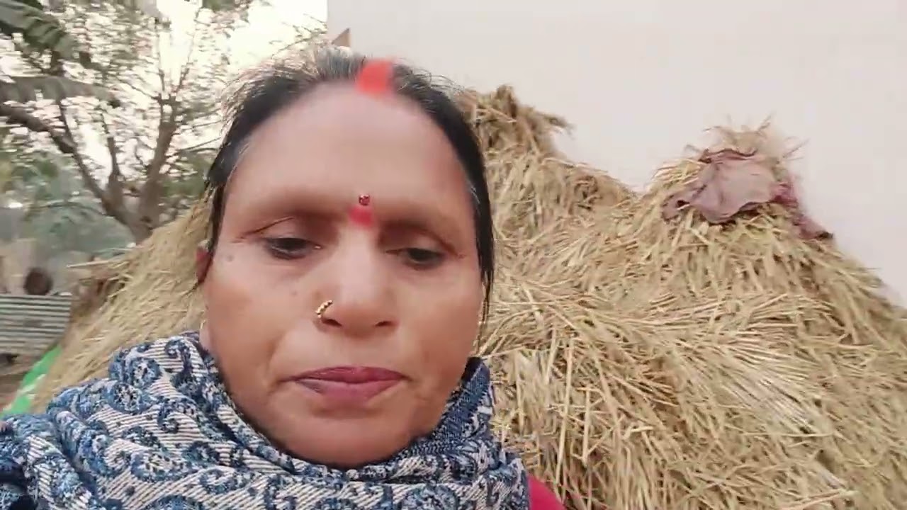 गेहूं के खेतमें गई थी खेत देखने