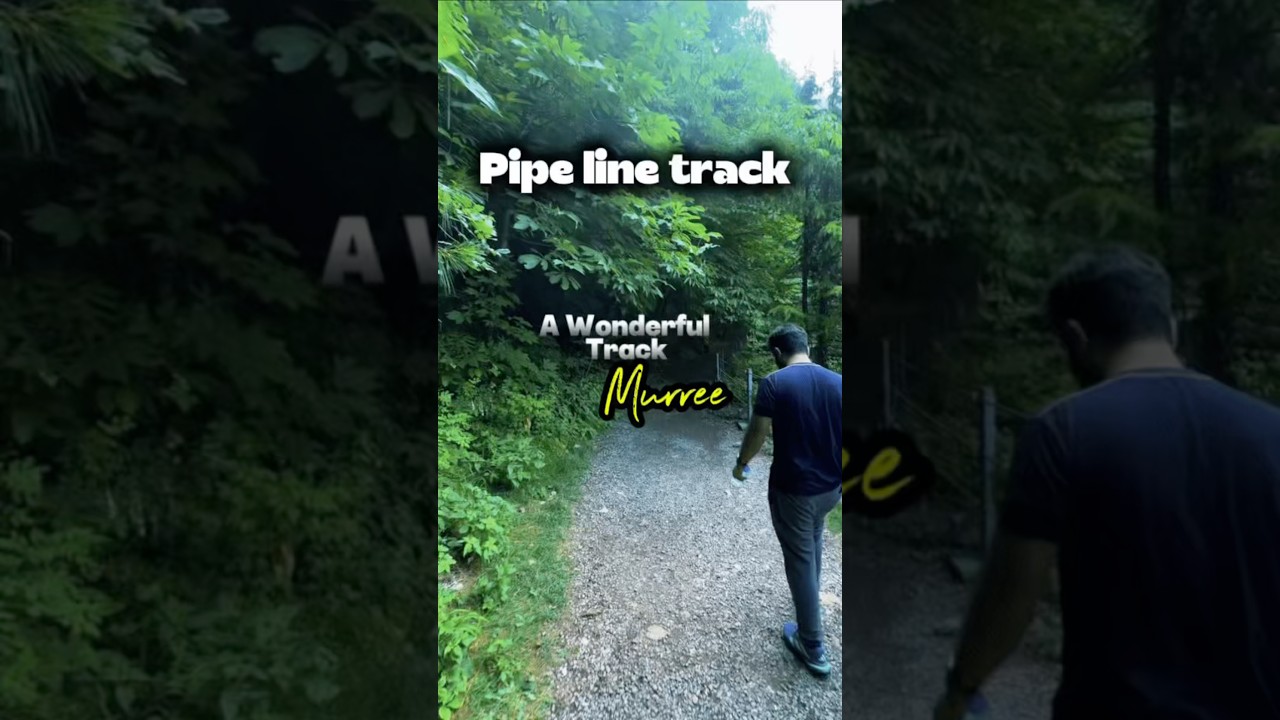 Dunga Gali to Ayubia &ndash; Pakistan&rsquo;s Easiest & Most Scenic Trail! 🌲🇵🇰 #travelpakistan  #minivlog