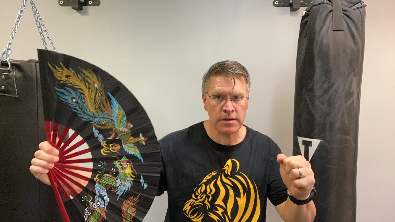 Fighting With Sticks - Kung Fu Fan Ninjitsu Tessen - Lethal or Laughable?