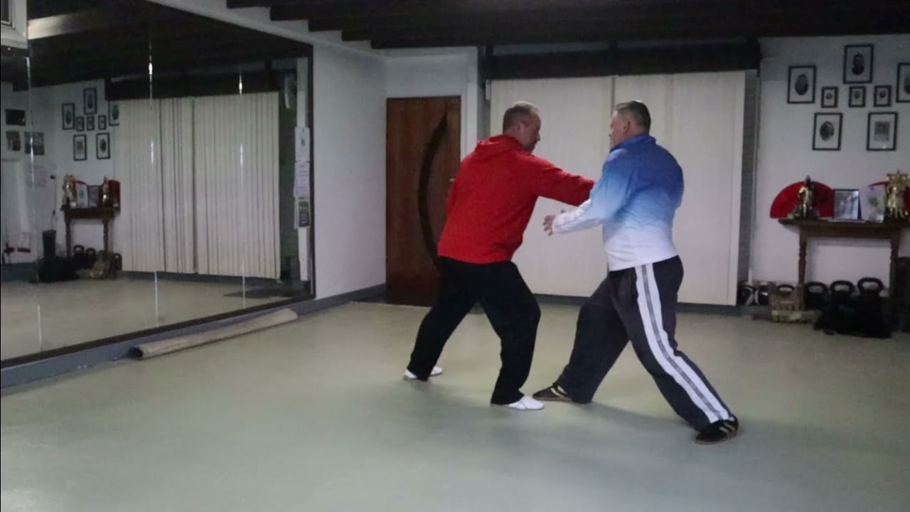 Tai Chi Push Hands reversing force with relaxation. Sifu Damon Bramich