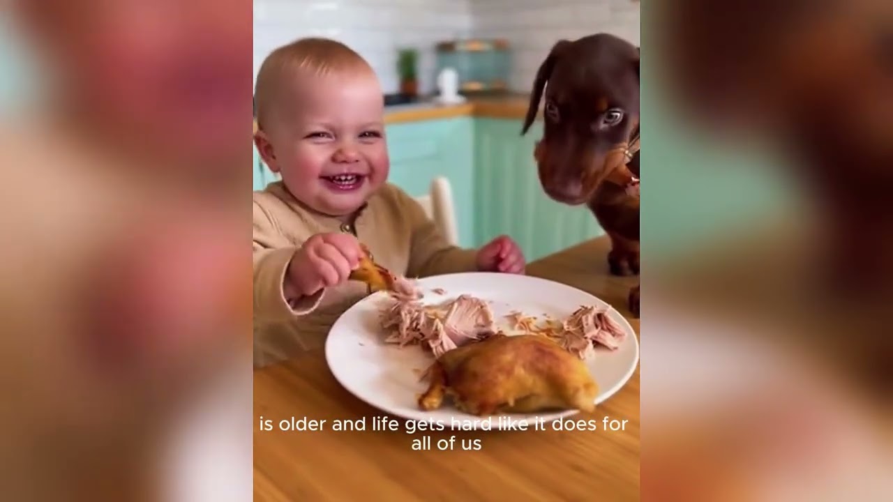 Doberman Can't Control His Emotions Meeting Baby Brother For The First Time❤️