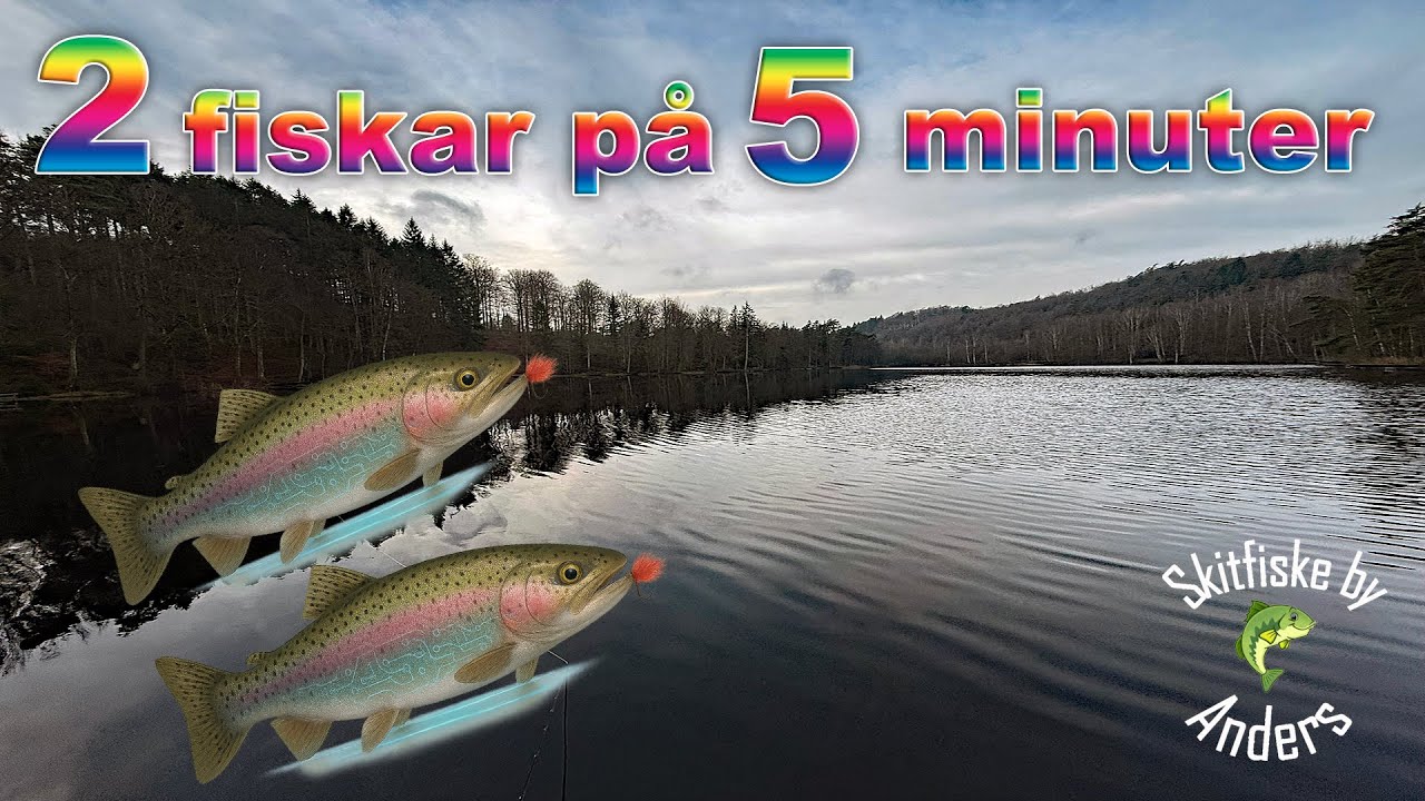 Två fiskar på fem minuter