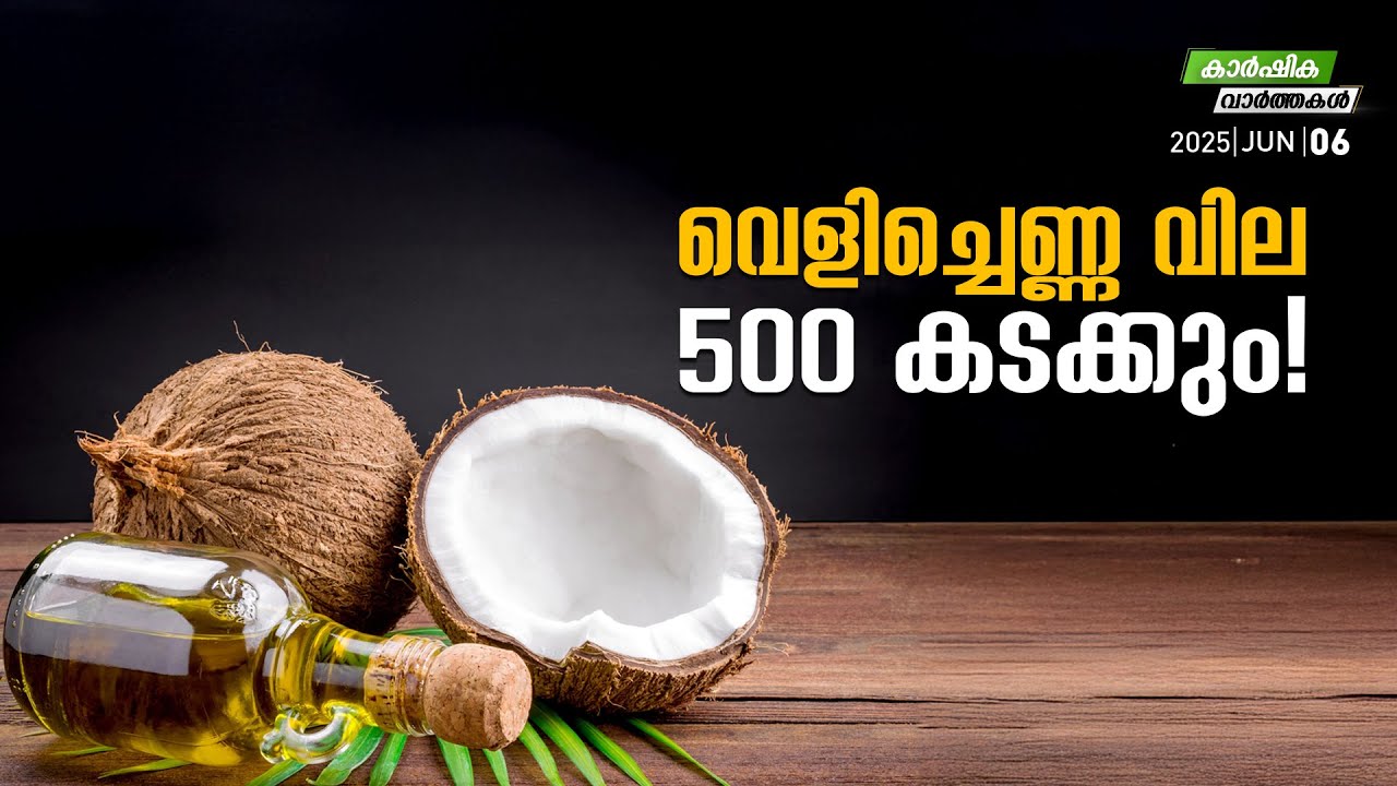 വെളിച്ചെണ്ണ വില 500 കടക്കും! | Agriculture News | MyFin TV Business Malayalam