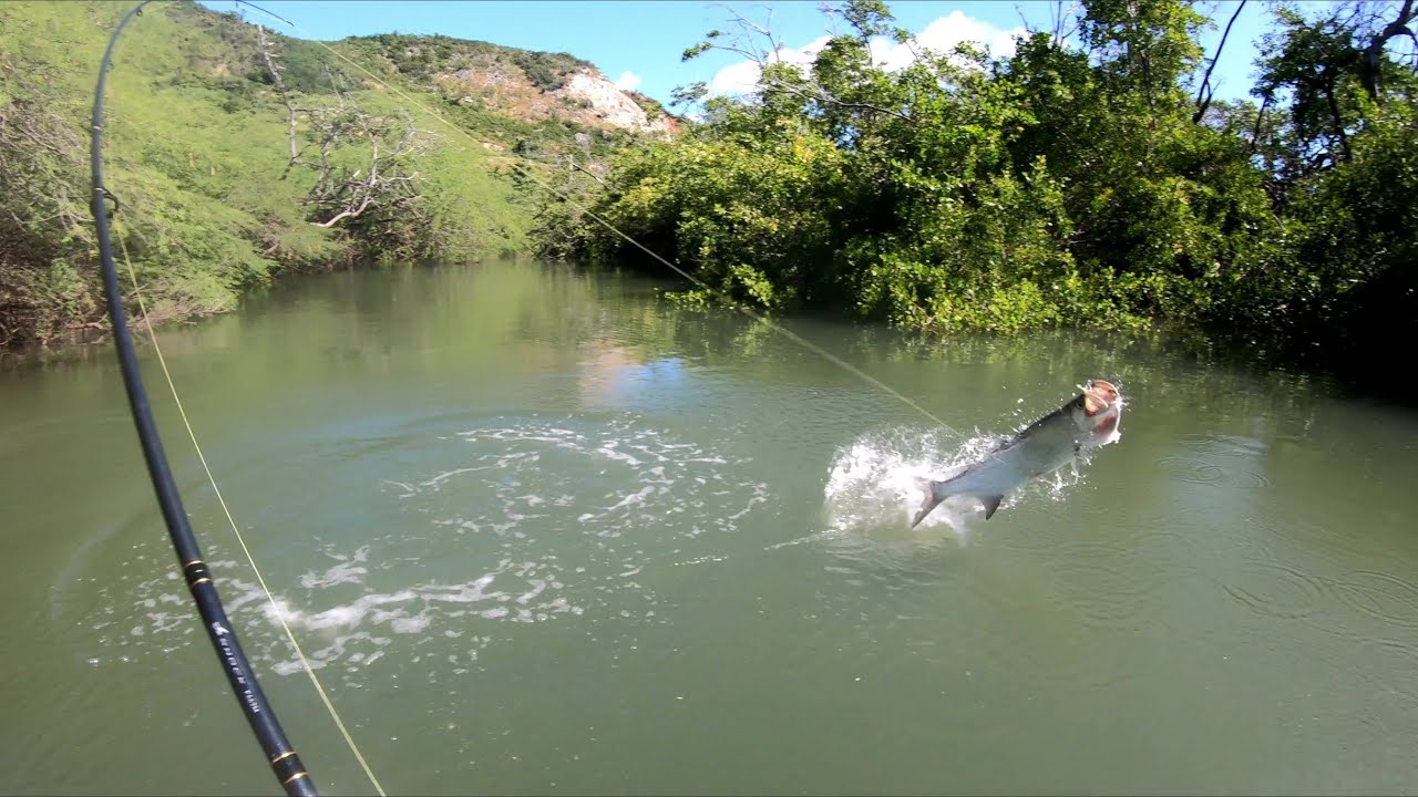 | RETO de GOMITAS | El Paraiso de los SABALOS | - Pesca En PR -