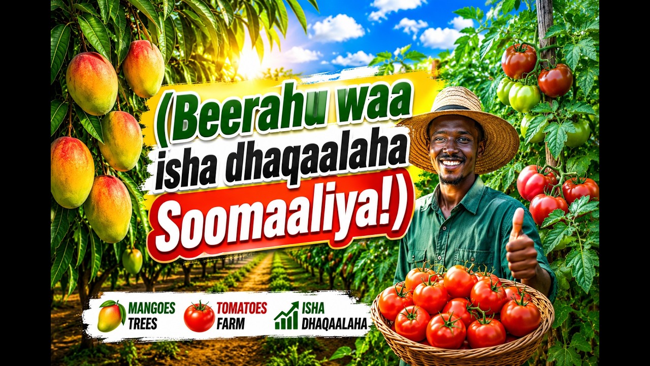Horumarinta Beeraha