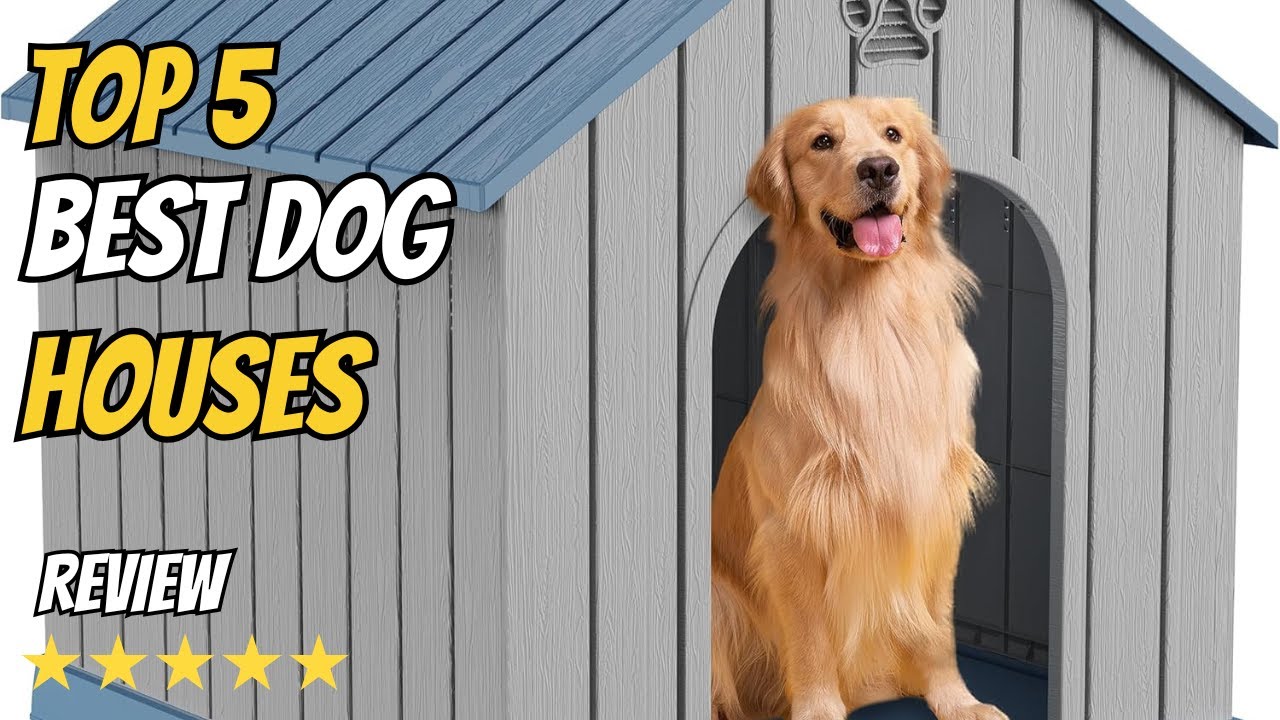 Top 5 Best Dog Houses 2026 &ndash;  Picks for Indoor & Outdoor Use