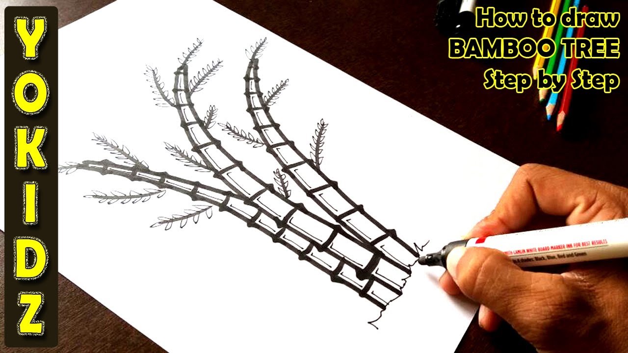 How to draw BAMBOO TREE step by step