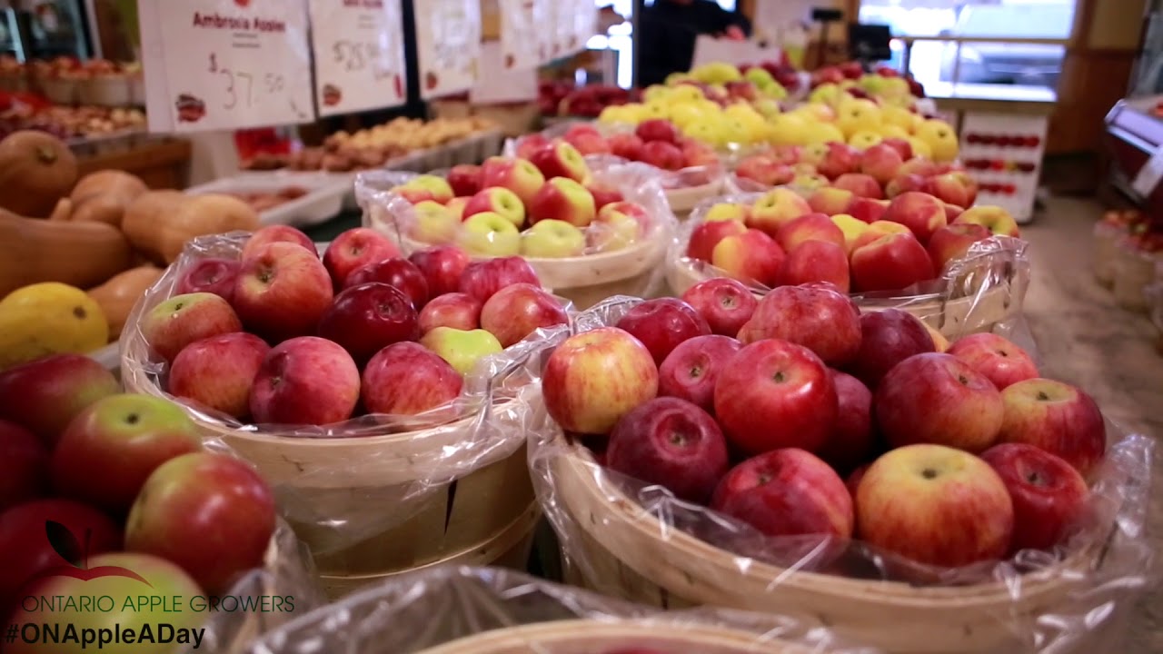 The Ontario apple industry at a glance