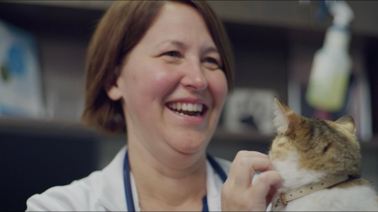 Dr. Nadolski&rsquo;s Journey from Veterinary Internship to Criticalist (Clip)