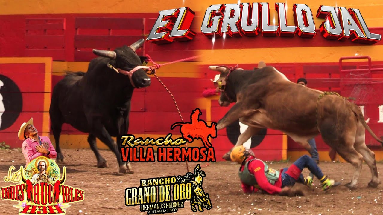 EL PUBLICO QUERIA ESPECTACULO Y ESO LES BRINDARON ESTAS 2 PODEROSAS GANADERIAS EN EL GRULLO JALISCO