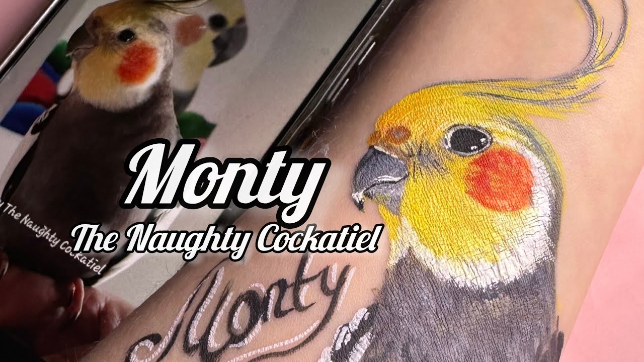 Monty the Naughty Cockatiel - Face Painting Portrait | Face Painting papagal Cockatiel Monty 