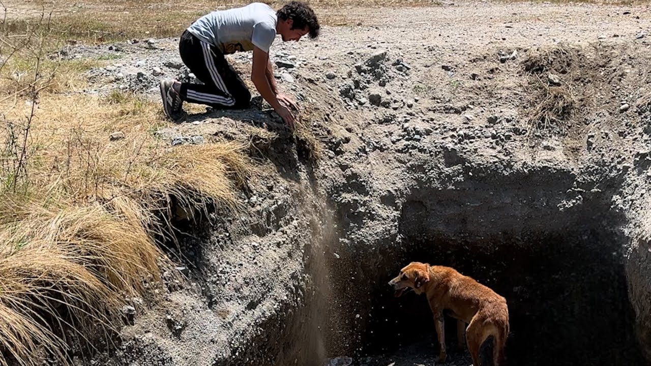 Çukura Düşen Köpeği Kurtardık