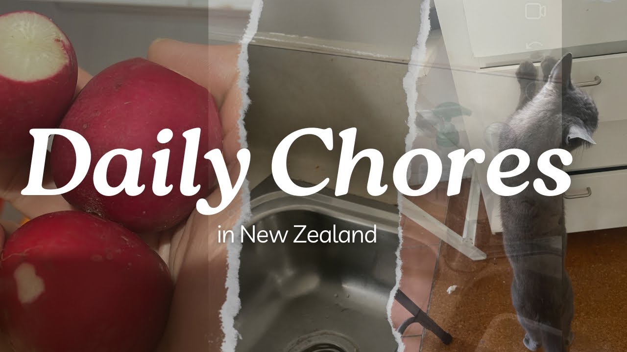 Kegiatan rumah tangga di New Zealand | a day in my life