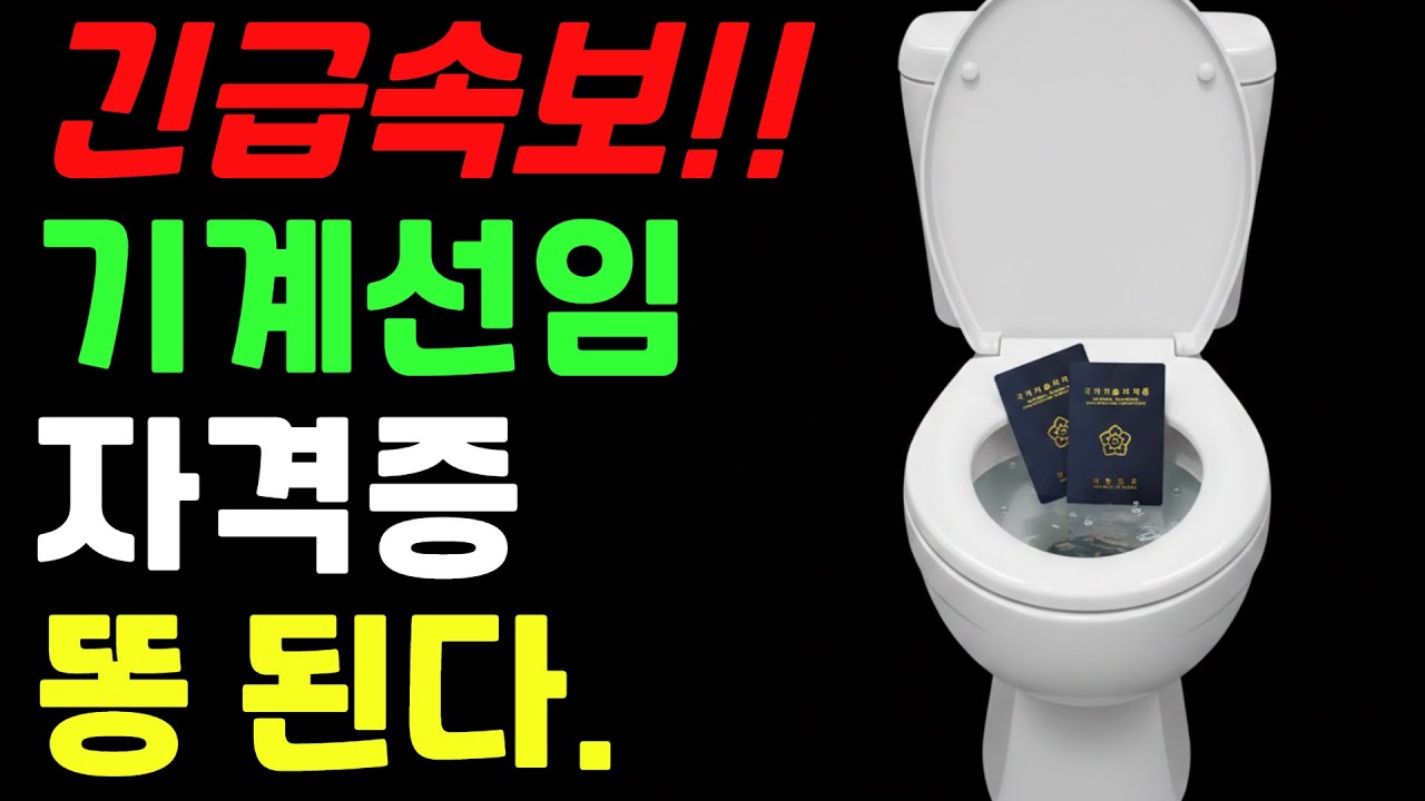 기계 자격증, 지금 따면 안 되는 이유!!