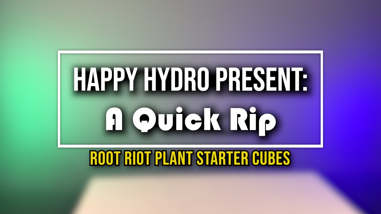 Root Riot Plant Starter Cubes | Happy Hydro Mini Series: A Quick Rip
