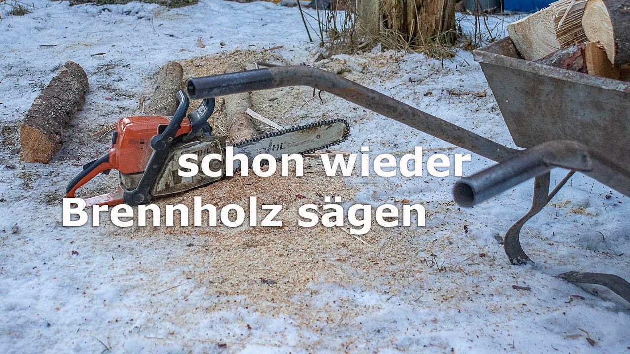 schon wieder Brennholz sägen