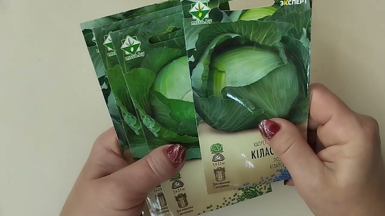 Какую капусту сеяла и новинки