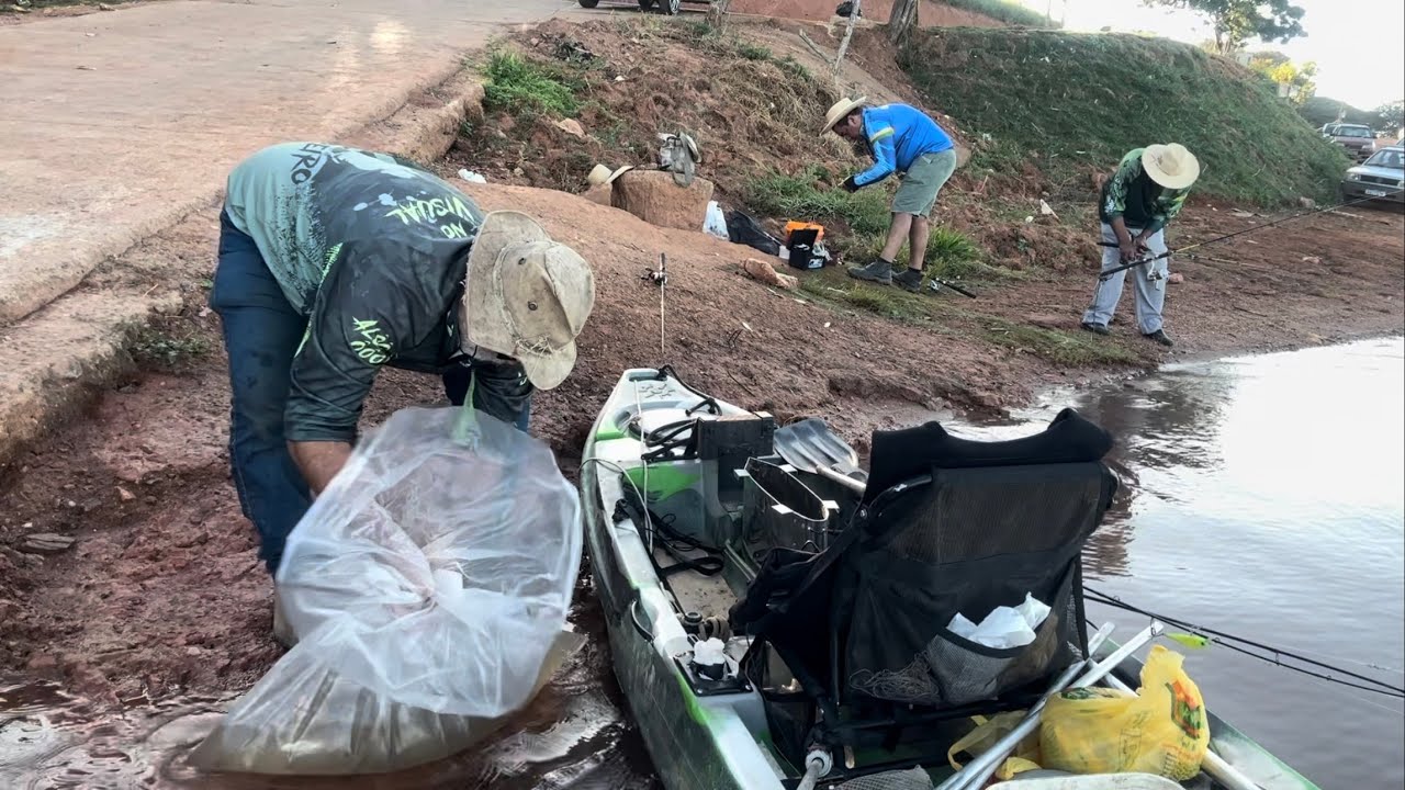 Isca viva , a pescaria dos meus sonhos show de bola
