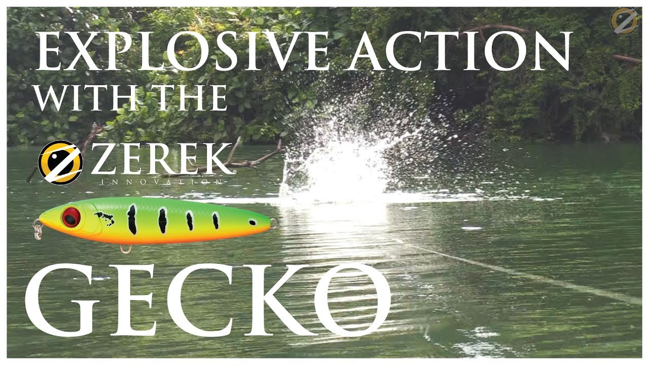 Top Water Explosion with the Zerek Gecko