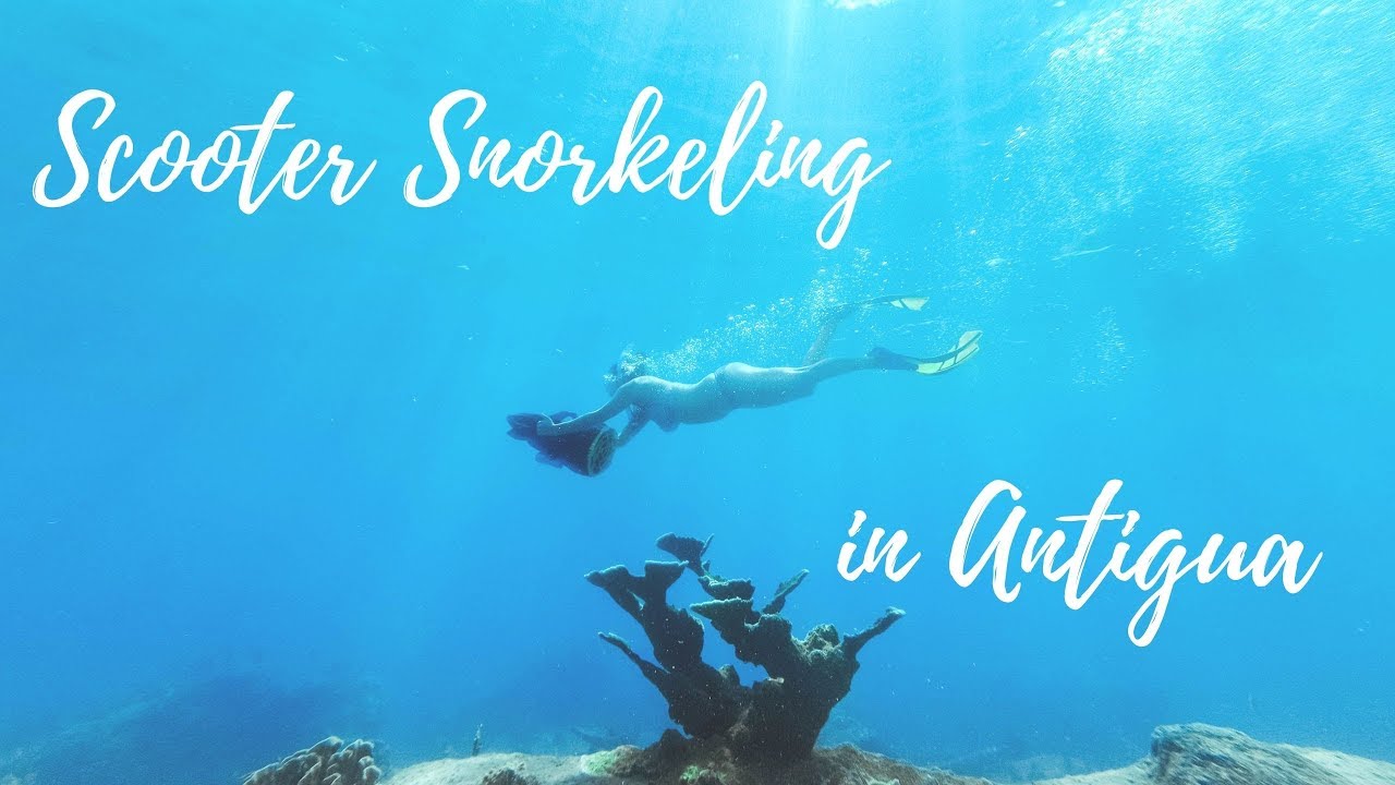 Scooter Snorkeling in Antigua at English Harbour (Sea Turtles, Eagle Rays, & More!!!)