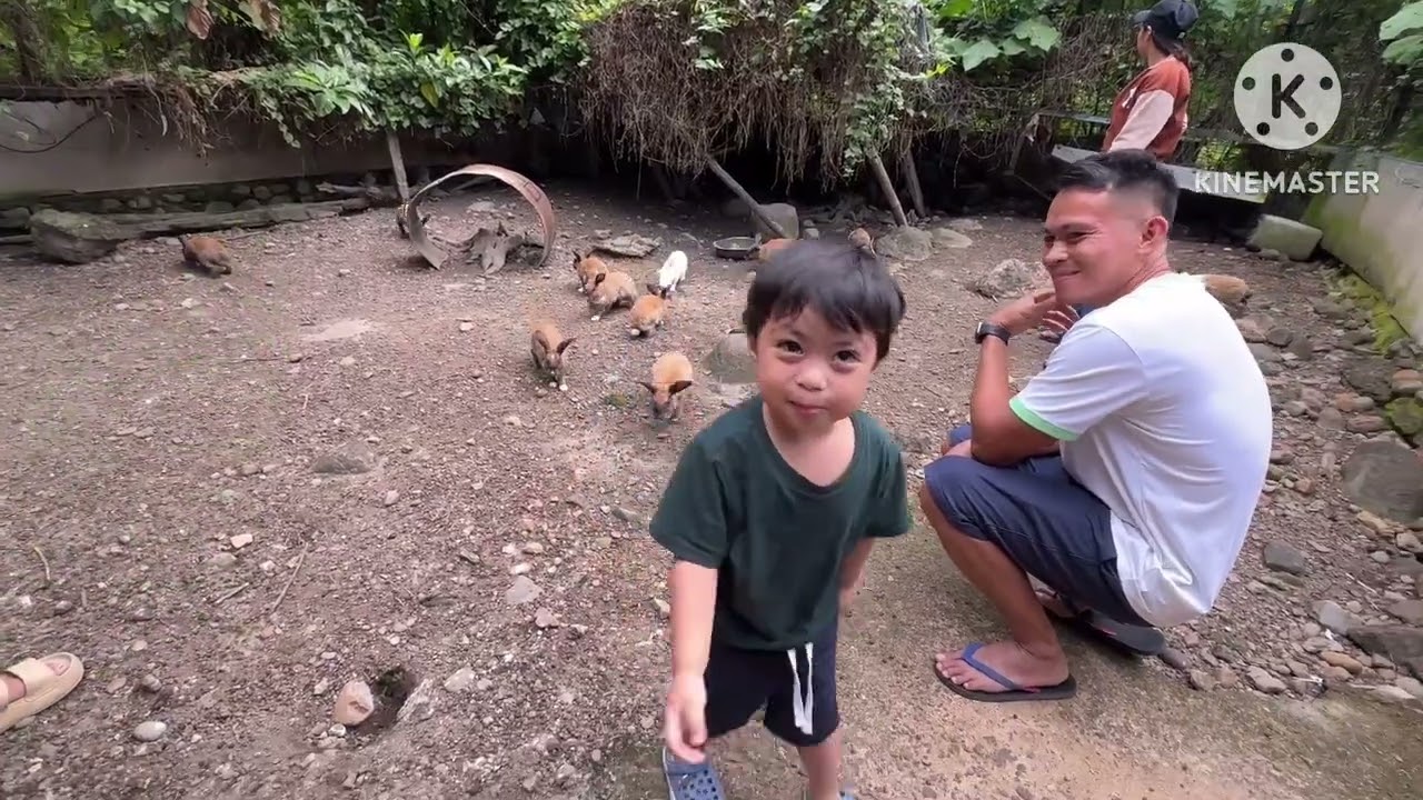 dreAMLANd Nature and Adventure Park 2026 | Mini Zoo | Hanzee the Explorer | Amlan, Negros Oriental