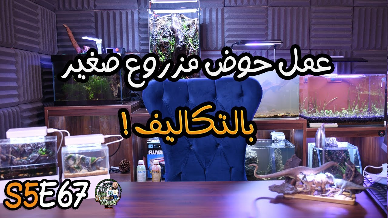 عمل حوض مزروع صغير بالتكاليف !