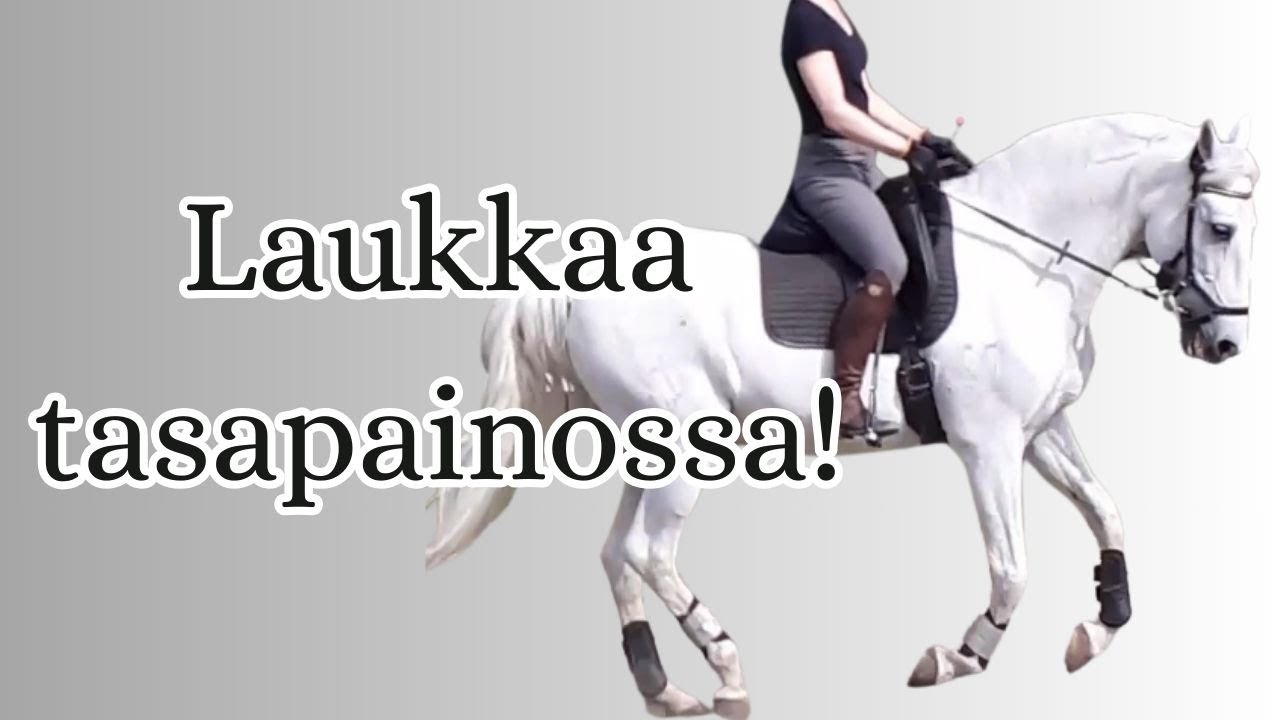Opi laukkaamaan! Miten laukka nostetaan, miten istua laukassa + tavallisimmat virheet