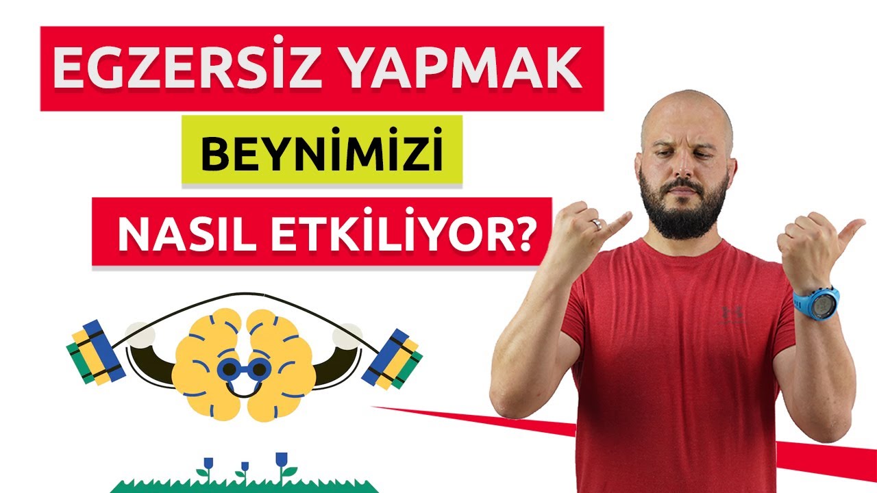 Egzersiz Yapmak Beynimizi Nasıl Etkiliyor?