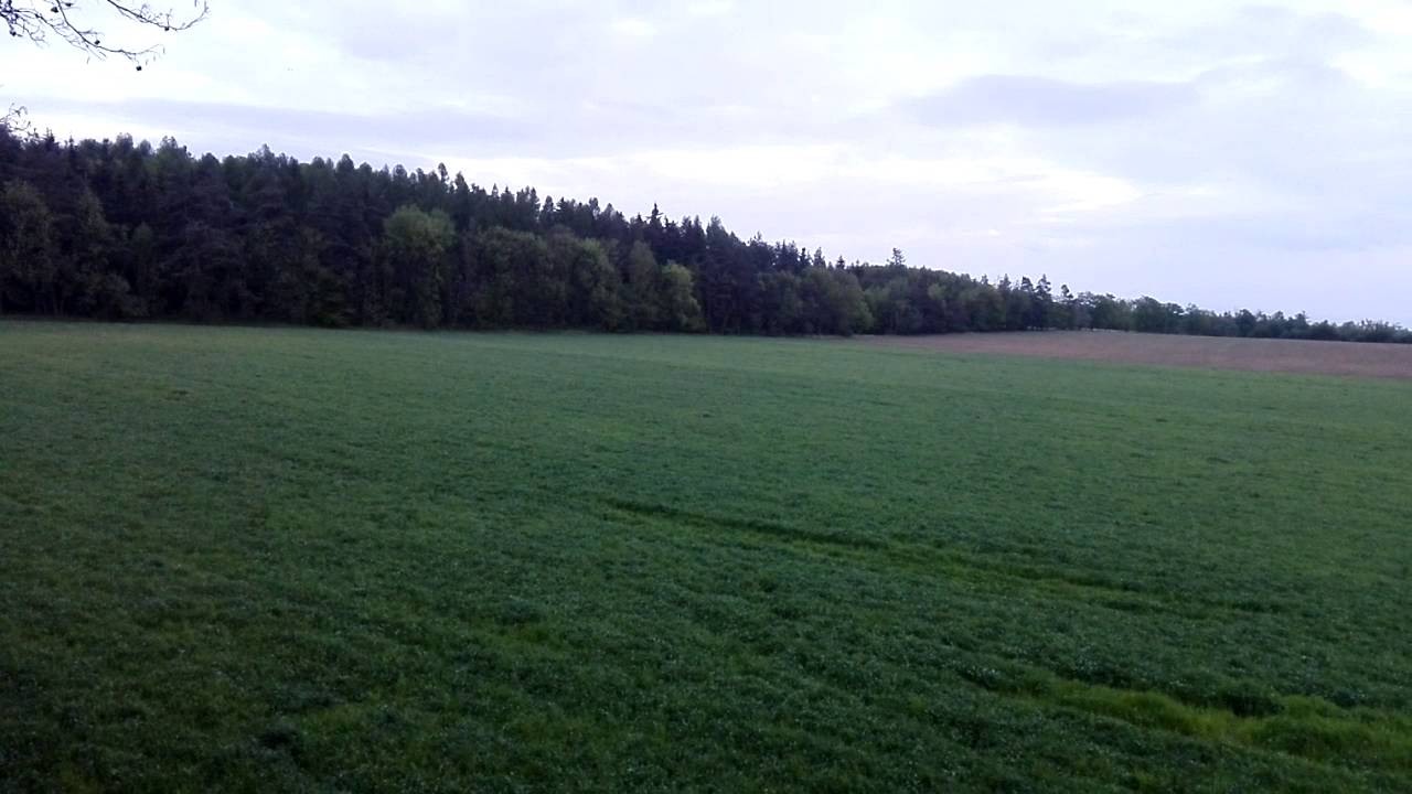 Čekan&aacute; 16.5.2016