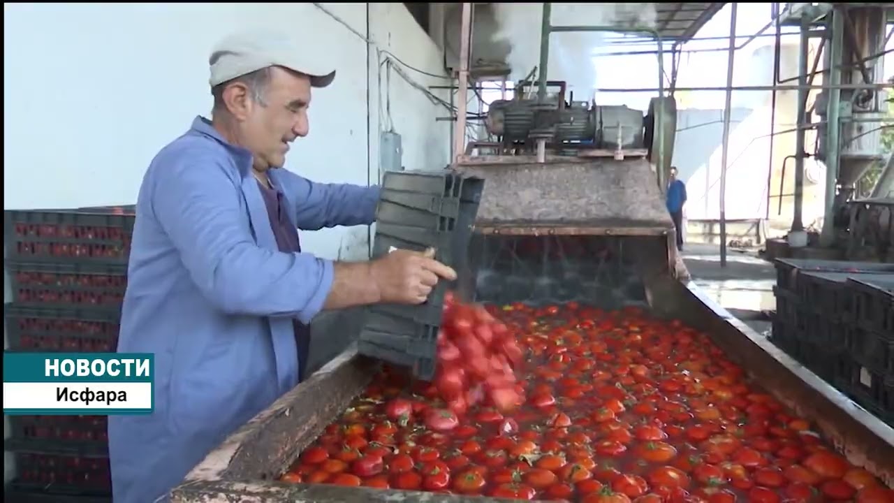 Консервный завод 