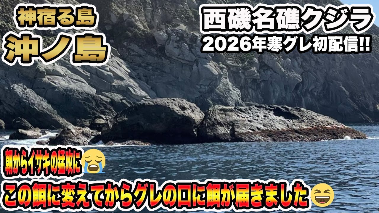 【グレ釣り】2026年初釣行　神宿る島沖ノ島❕朝からイサキの猛攻💦猛攻をかわし良型グレに辿り着く方法とは…🤔#沖ノ島 #磯釣り  #グレ釣り  #フカセ釣り