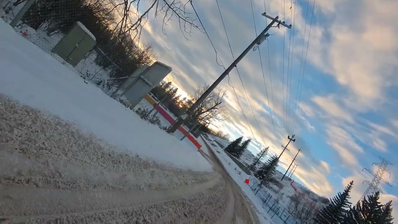 SANDY BEACH BRIDGE CLIMB- NEW LEVO COMP CARBON EXPERT