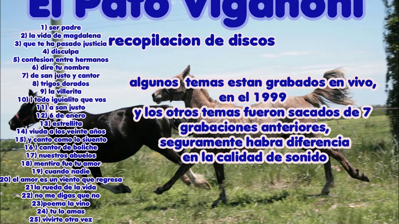 El Pato Viganoni 