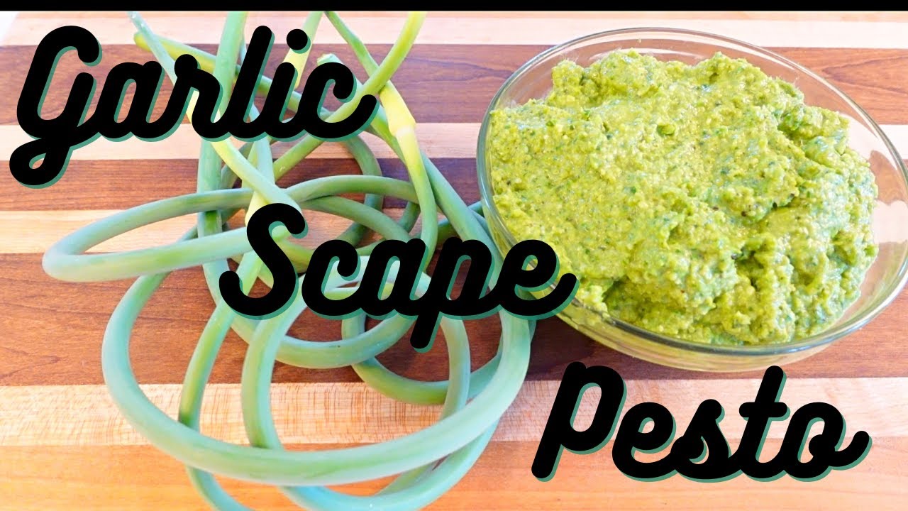 HOW To Make GARLIC SCAPE BASIL PESTO